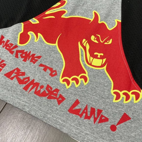 NWT size:L spliced long sleeve TEE TS NAMESAKE 22SS LS TEE - Picture 11 of 11